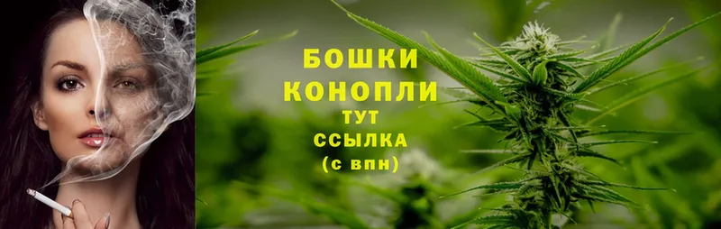 Каннабис Ganja  Никольское 